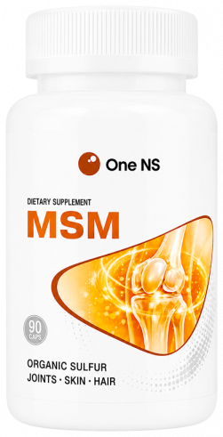 One NS MSM, 90 капсул